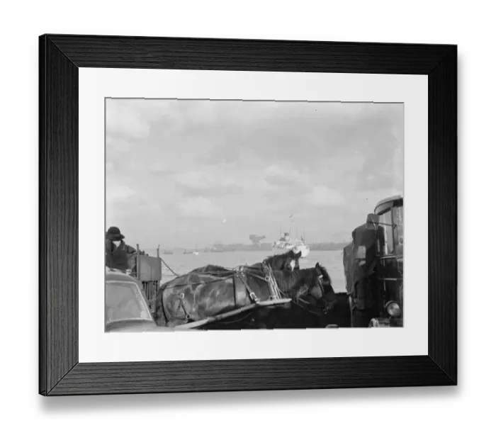 Framed Print : A ferry at Woolwich, London, carrying traffic. 1937 Framed Print : A ferry at Woolwich, London, carrying traffic. 1937