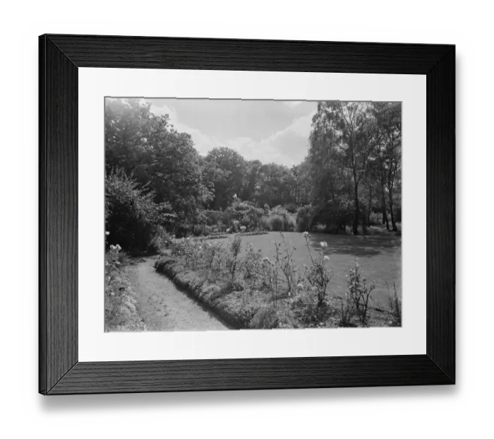 Framed Print : The garden at 41 Christchurch Road in Sidcup, Kent. The pristine flower beds Framed Print : The garden at 41 Christchurch Road in Sidcup, Kent. The pristine flower beds