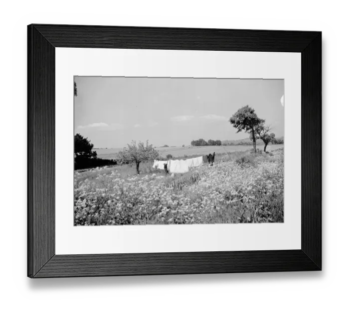 Framed Print : Rebecca Munday hanging up the washing on a bright breezy day in Deans Bottom, Kent Framed Print : Rebecca Munday hanging up the washing on a bright breezy day in Deans Bottom, Kent
