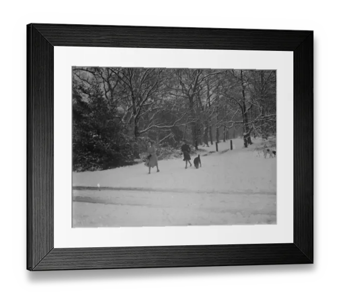 Framed Print : Walkers and their dogs enjoy the snow on Chislehurst Common, Kent. 1936