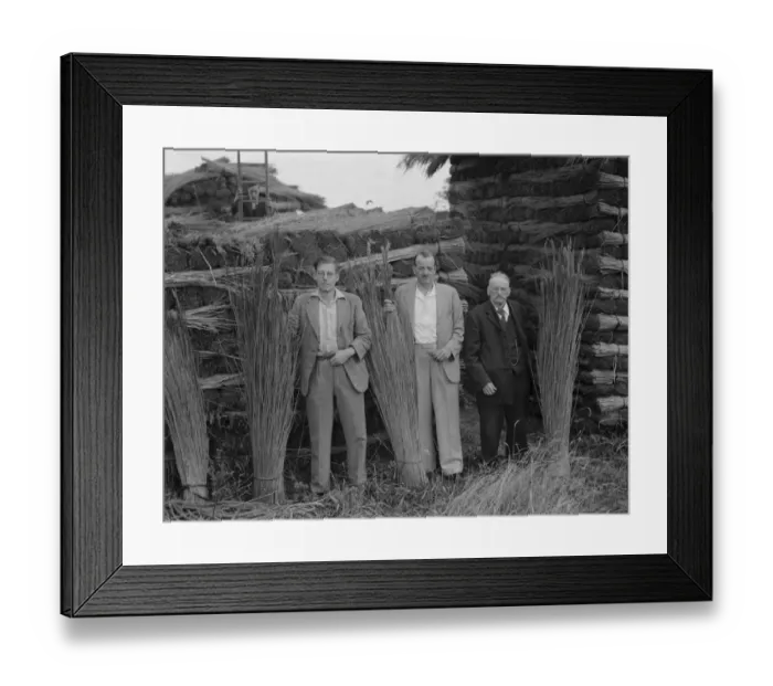 Framed Print : Farmans, three generations. 19 August 1937 Reed Thatching in Norfolk. Mr R Framed Print : Farmans, three generations. 19 August 1937 Reed Thatching in Norfolk. Mr R