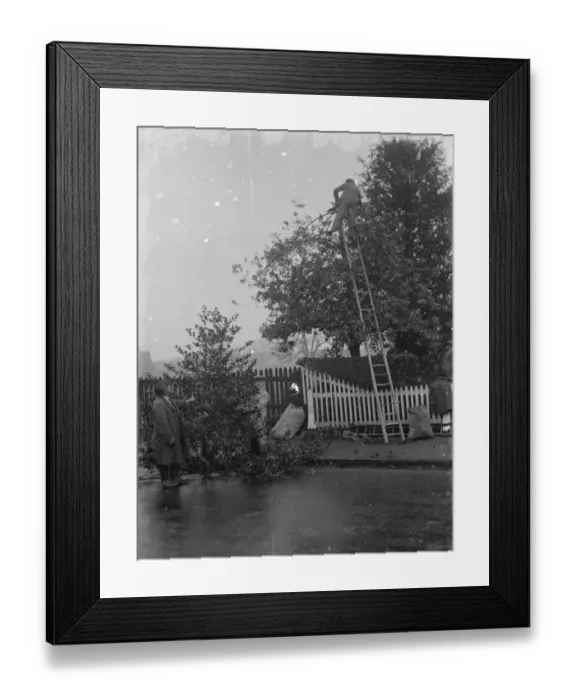 Framed Print : Men cutting holly at Chislehurst, Kent. 1935