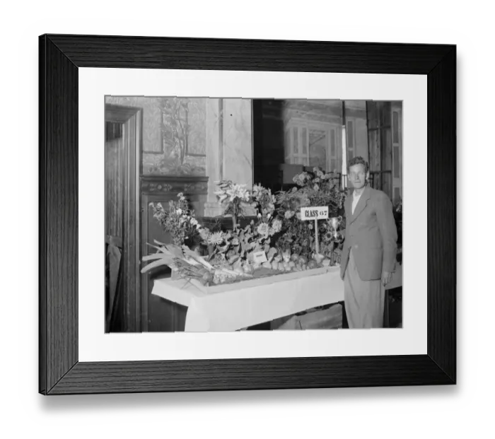 Framed Print : Crayford flower champion. 1935 Framed Print : Crayford flower champion. 1935