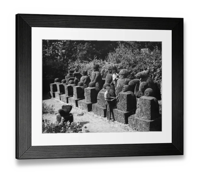 Framed Print : A groundsman trims the topiary figures at Hever Castle. 1938