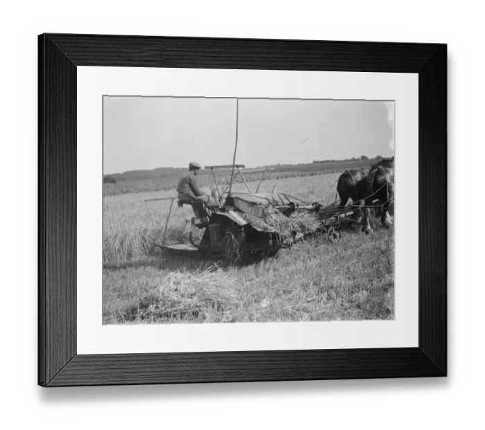 Framed Print : A farmer and his horse tethered to 25 year old McCormick Twine Binder with the Appleby Framed Print : A farmer and his horse tethered to 25 year old McCormick Twine Binder with the Appleby