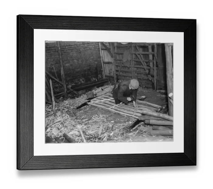 Framed Print : Hurdle making in Cuxton, Kent. 1937 Framed Print : Hurdle making in Cuxton, Kent. 1937
