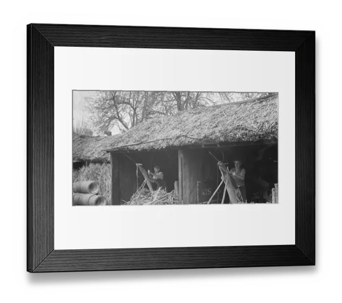 Framed Print : Rural farmers build in Paddock Wood. 1936 Framed Print : Rural farmers build in Paddock Wood. 1936