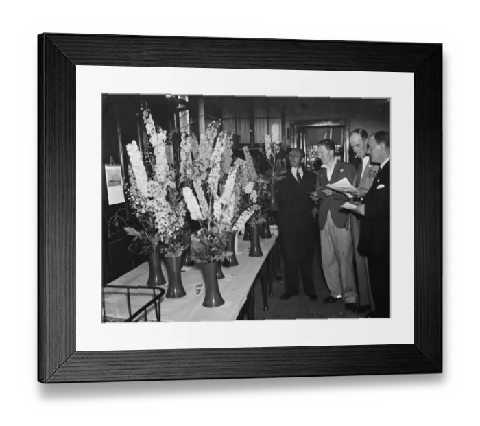 Framed Print : Marlborough Park horticultural show in Sidcup, Kent. Left to right : Mr C Jordan