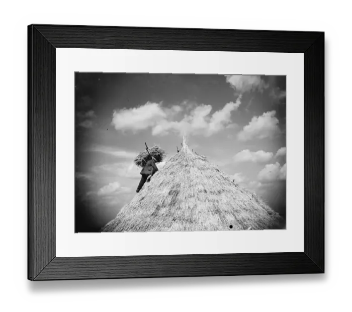 Framed Print : Man making a haystack. 1935 Framed Print : Man making a haystack. 1935