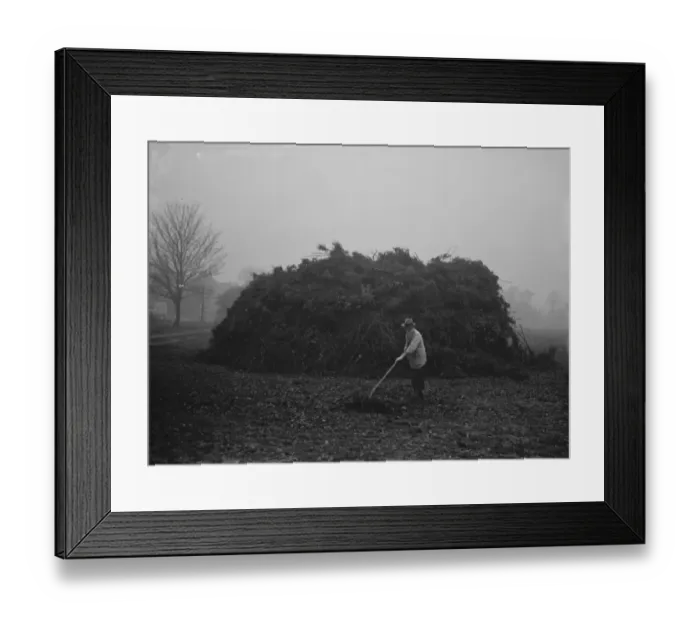 Framed Print : Chislehurst bonfire preparation, Kent. 1936 Framed Print : Chislehurst bonfire preparation, Kent. 1936