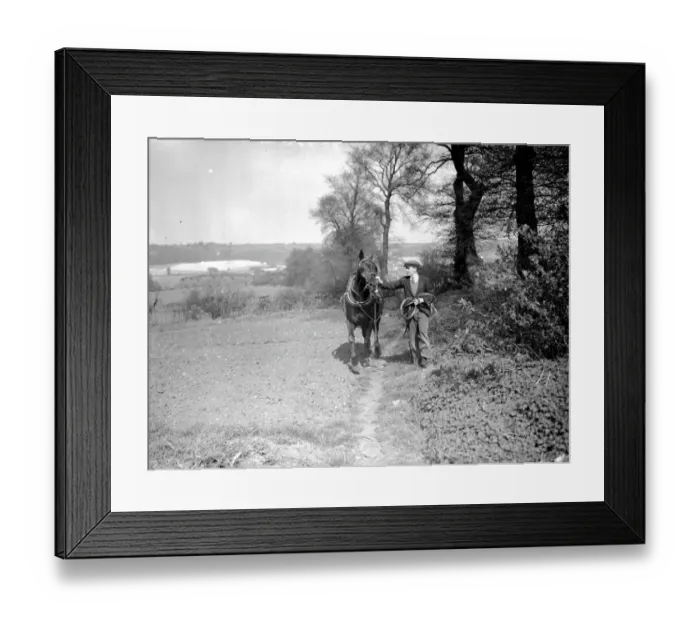 Framed Print : Horse recaptured after it had bolted with its bakers cart in Aylesford, Kent