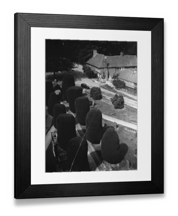 Framed Print : Yew trees, Brenchley. 1937