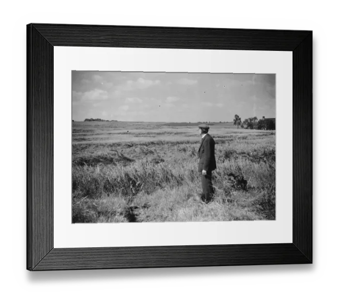 Framed Print : Damage to crops ( storm ). Farmer surveying his field. 1937