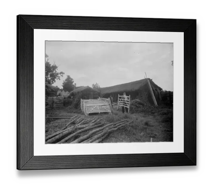 Framed Print : Hurdle making. 1937