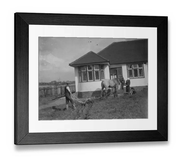 Framed Print : A man and his horse ploughing in the back garden. 1935 Framed Print : A man and his horse ploughing in the back garden. 1935