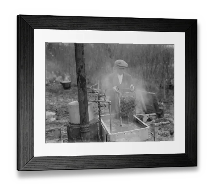 Framed Print : A farmer cultivates his strawberries. 1935 Framed Print : A farmer cultivates his strawberries. 1935