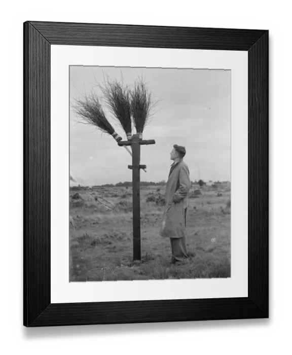 Framed Print : Fire brooms on Dartford Heath, Kent. 1939 Framed Print : Fire brooms on Dartford Heath, Kent. 1939