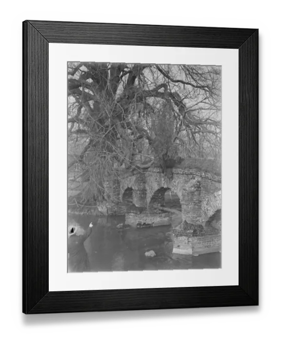 Framed Print : A tree growing from the base of Farningham bridge in Kent. 1939 Framed Print : A tree growing from the base of Farningham bridge in Kent. 1939