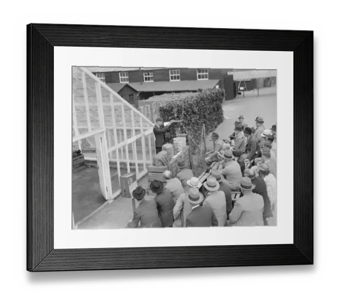 Framed Print : Showing people around at the East Malling Research Station open day in Kent. 2 Framed Print : Showing people around at the East Malling Research Station open day in Kent. 2