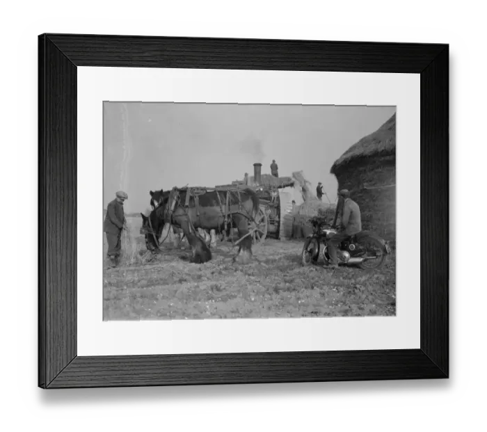 Framed Print : Farm workers in Farningham, Kent at work using a portable steam engine and belt-driven Framed Print : Farm workers in Farningham, Kent at work using a portable steam engine and belt-driven
