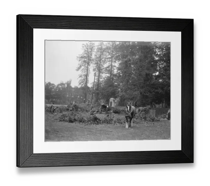 Framed Print : Improvement works being carried out on the Sidcup memorial in Kent Framed Print : Improvement works being carried out on the Sidcup memorial in Kent