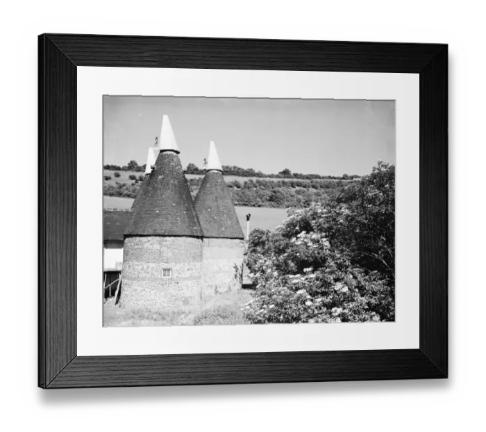 Framed Print : Elderberry blossom in Maplescombe make a pretty foreground to the oast houses. 1936 Framed Print : Elderberry blossom in Maplescombe make a pretty foreground to the oast houses. 1936