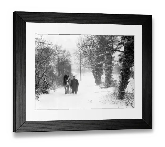 Framed Print : Ploughman and his horse Wrotham Kent 1947 Framed Print : Ploughman and his horse Wrotham Kent 1947