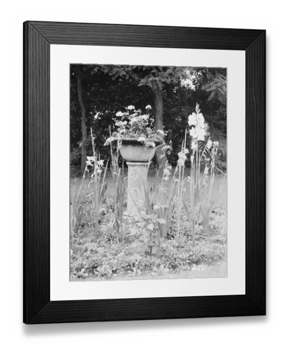 Framed Print : Font ( old ) used as garden flower stand. 1937 Framed Print : Font ( old ) used as garden flower stand. 1937