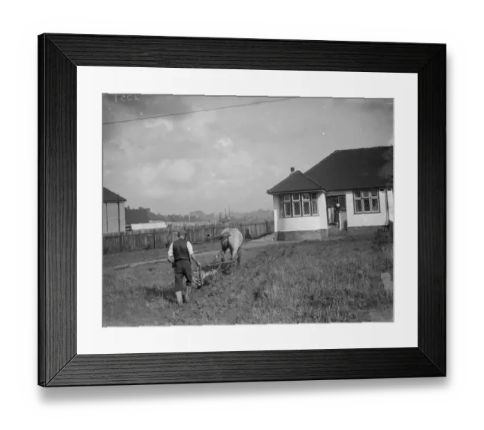 Framed Print : Ploughing up a bungalows large front garden in Sidcup. Agriculture in the suburbs