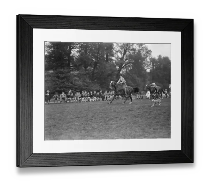 Framed Print : Horse gymkhana. 1935