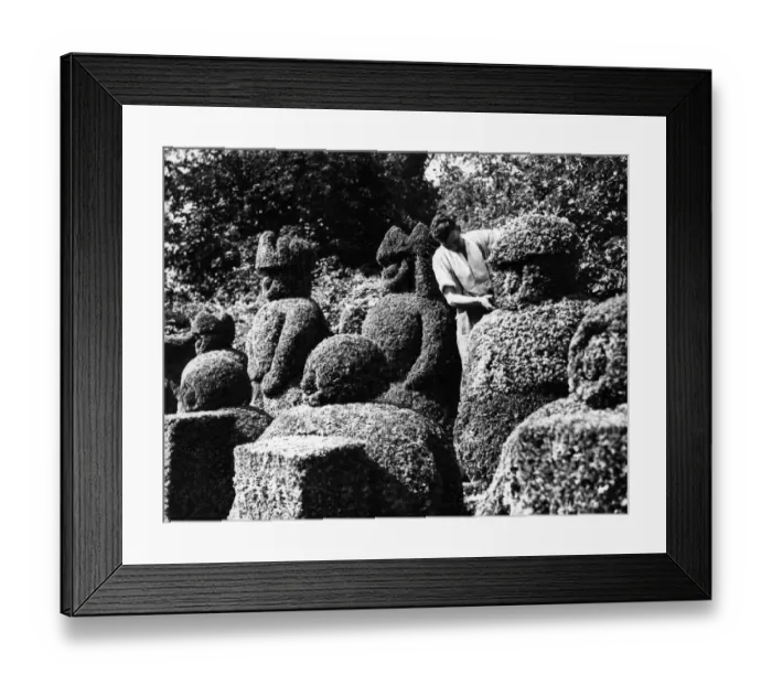Framed Print : Trimming the topiary chess men in the garden at Hever Castle Near Edenbridge Kent 1962