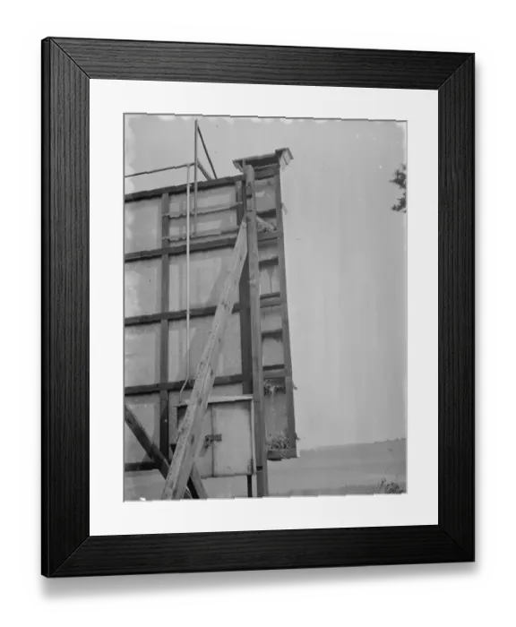 Framed Print : Birds nests in the back of an advertising hoarding, Ruxley, Kent