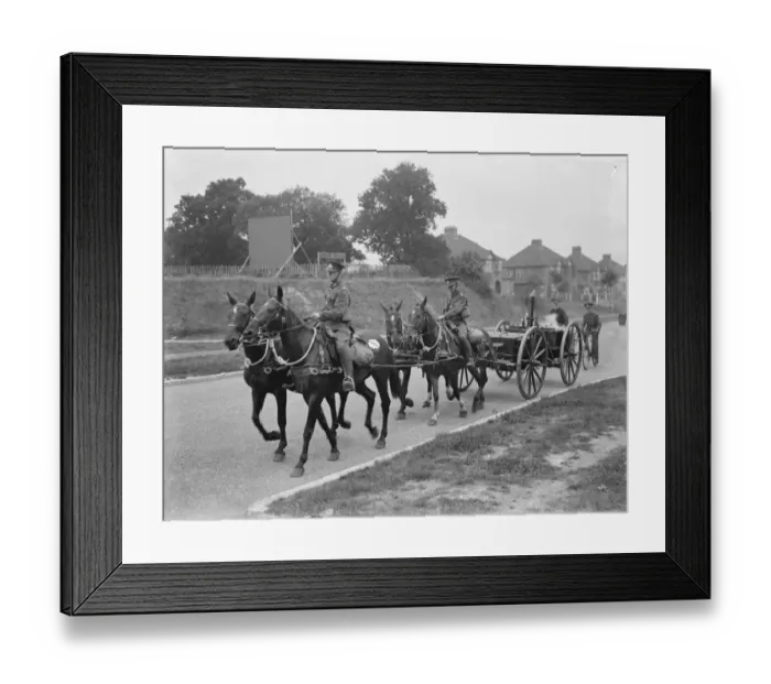 Framed Print : Army manoeuvers in Orpingon, Kent. Horse drawn army stoves. 1936 Framed Print : Army manoeuvers in Orpingon, Kent. Horse drawn army stoves. 1936