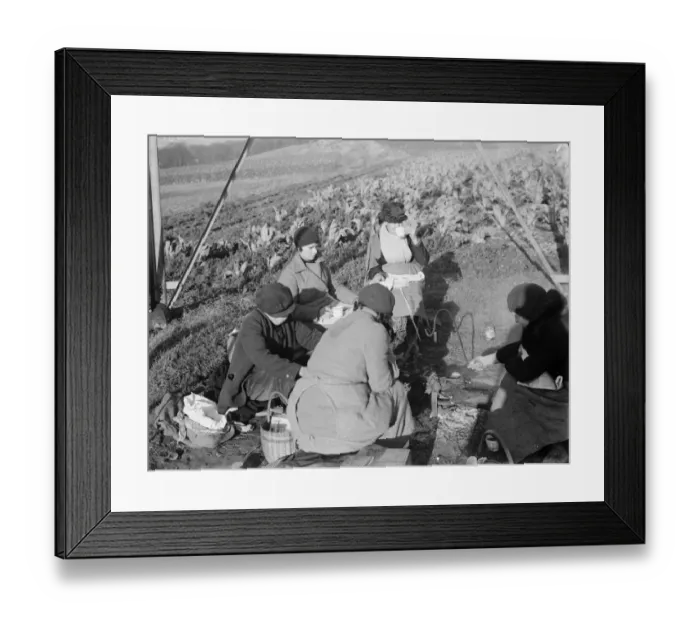 Framed Print : Farm workers sitting under a pylon, eating their lunch. 1936