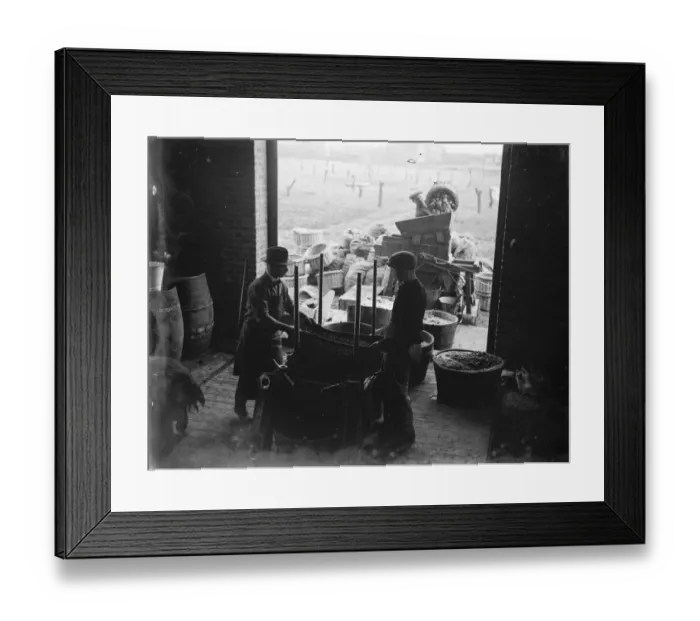 Framed Print : Crockenhill Woods December 1934 Framed Print : Crockenhill Woods December 1934