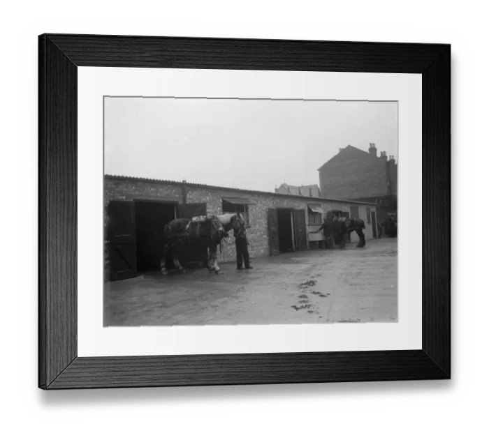 Framed Print : A man walks a horse out of the stables. 1936 Framed Print : A man walks a horse out of the stables. 1936