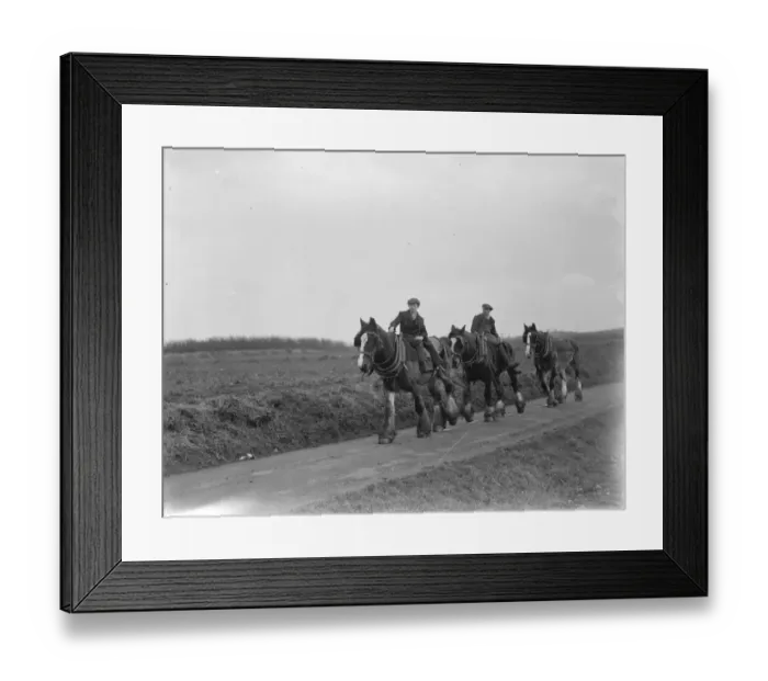 Framed Print : Farm workers returning home on their horses after a days ploughing