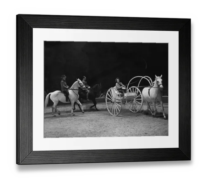 Framed Print : Trainer and horses rehearsing before a show at the Olympia Circus, London, England Framed Print : Trainer and horses rehearsing before a show at the Olympia Circus, London, England