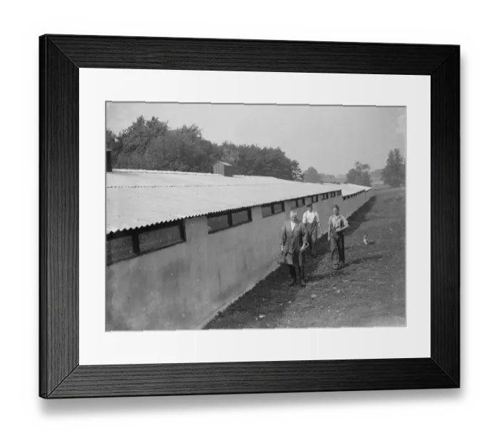 Framed Print : Pig barn, Foots Cray, Kent. 1935 Framed Print : Pig barn, Foots Cray, Kent. 1935