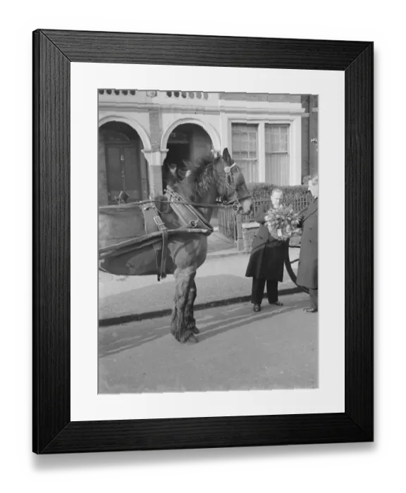 Framed Print : A cabmans funeral. The coffin of Mr William Rose passing through the streets of Framed Print : A cabmans funeral. The coffin of Mr William Rose passing through the streets of