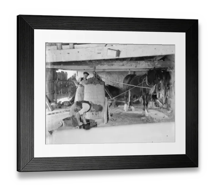 Framed Print : Making clay bricks powered by horses, Eyhorne Street, Hollingbourne, Kent