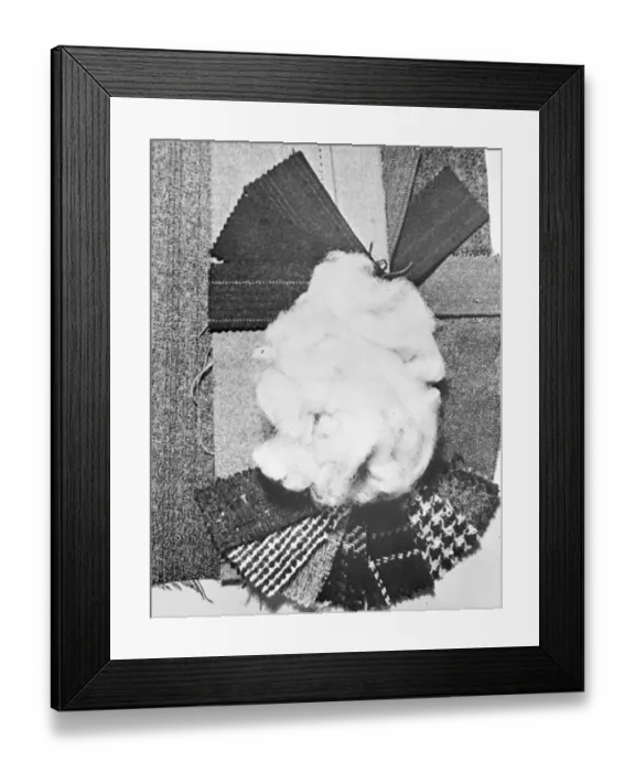 Framed Print : Wool made from milk Synthetic wool fibres. Having practically the same chemical composition as wool