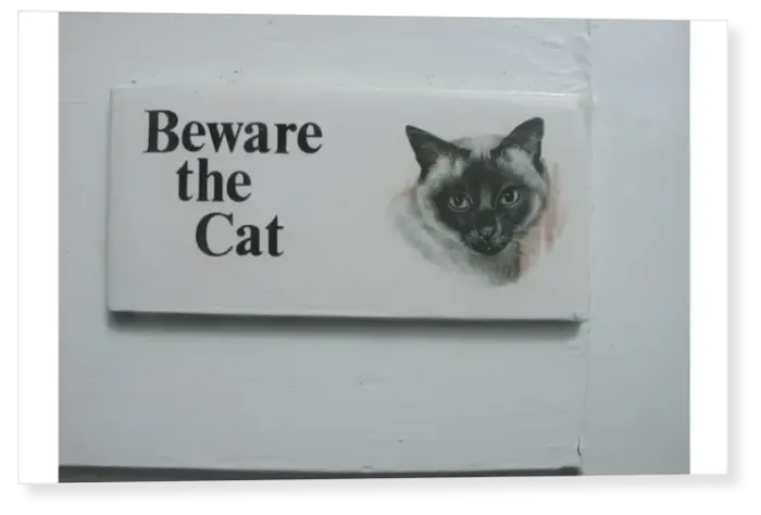 Print : Humorous ceramic sign on a front door outside a house warning: Beware the Cat, Canterbury Print : Humorous ceramic sign on a front door outside a house warning: Beware the Cat, Canterbury