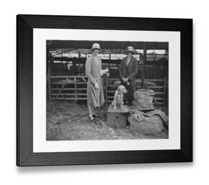 Framed Print : Tunbridge Wells and South East Counties show at Tunbridge Wells Lady Guliford