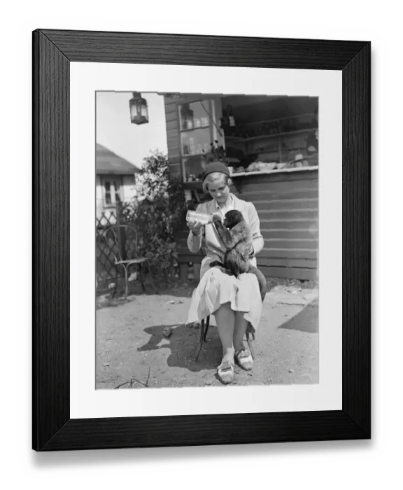 Framed Print : Strange Pals A parrot and a monkey are inseparable pals, pets belonging Miss Doris Edwards