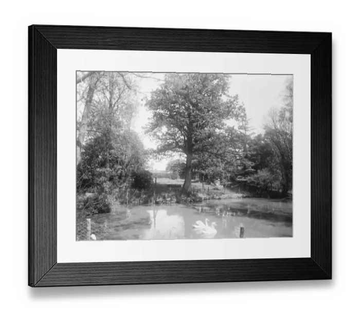 Framed Print : The Botches Chailey 15 May 1920 Framed Print : The Botches Chailey 15 May 1920