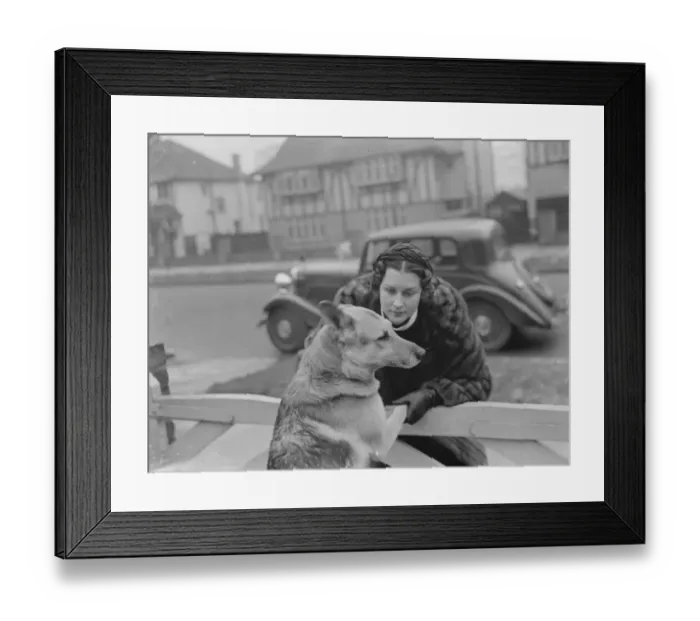 Framed Print : Miss Muriel Oxford is welcomed to the gate by an excitable dog. 1937 Framed Print : Miss Muriel Oxford is welcomed to the gate by an excitable dog. 1937