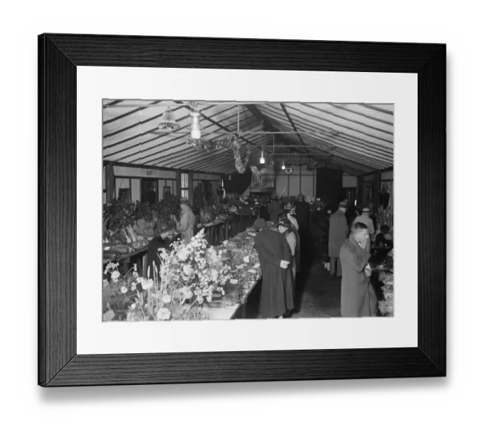 Framed Print : The general view at a horticultural show. 1935 Framed Print : The general view at a horticultural show. 1935