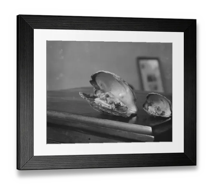 Framed Print : Pearl Cultivation 6 May 1921