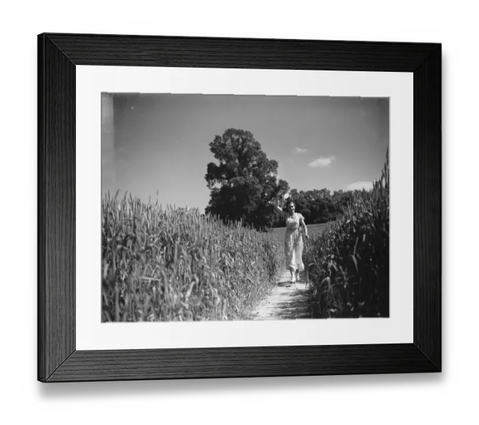 Framed Print : A young woman walks down a path in a cornfield. 1935 Framed Print : A young woman walks down a path in a cornfield. 1935